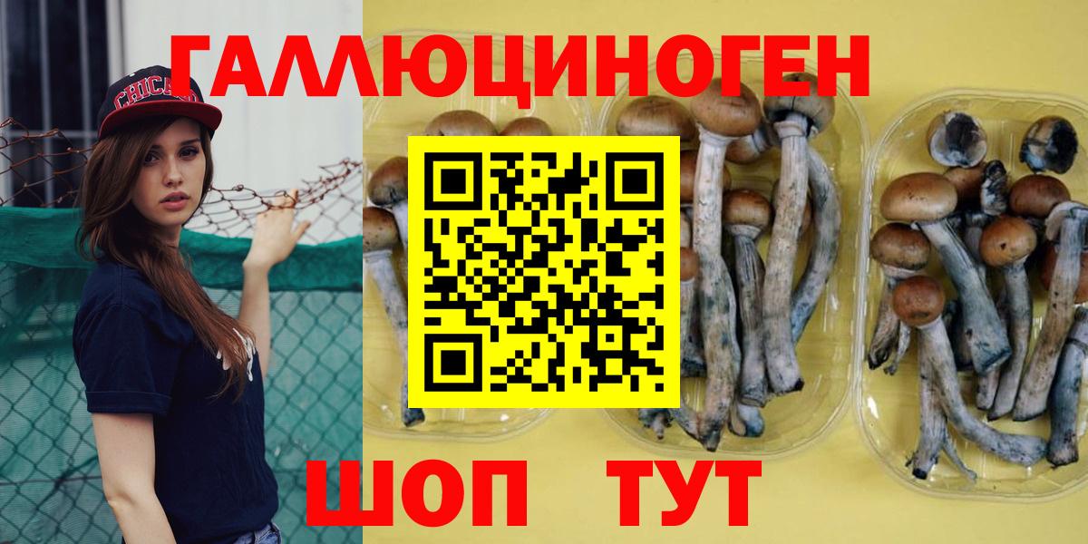 Псилоцибиновые грибы Cubensis  Галлюциногенные грибы мухоморы  Анапа  Вход с VPN 